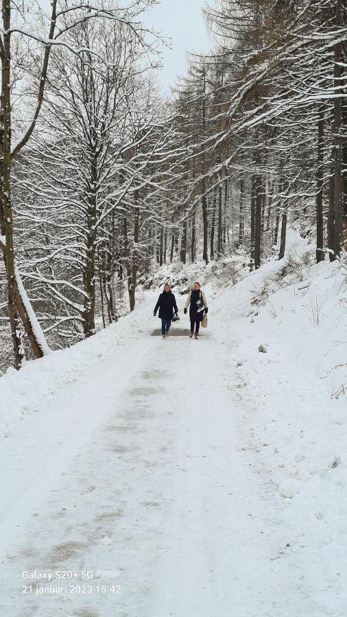 Vakantiehuisje Winterberg Zewnętrze zdjęcie
