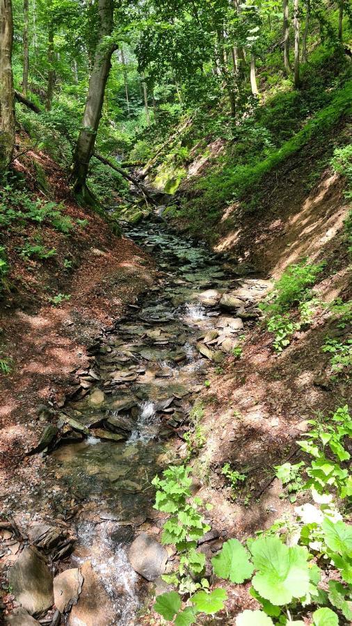 Vakantiehuisje Winterberg Zewnętrze zdjęcie