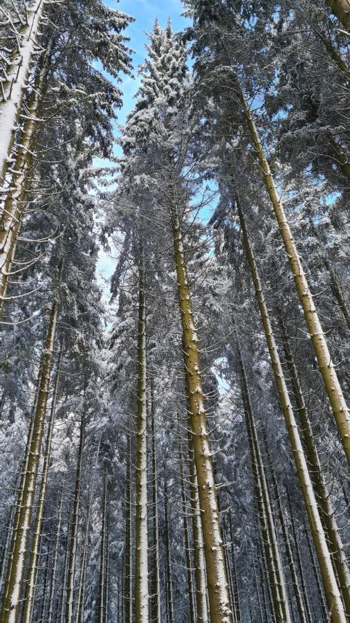 Vakantiehuisje Winterberg Zewnętrze zdjęcie
