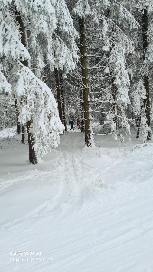 Vakantiehuisje Winterberg Zewnętrze zdjęcie