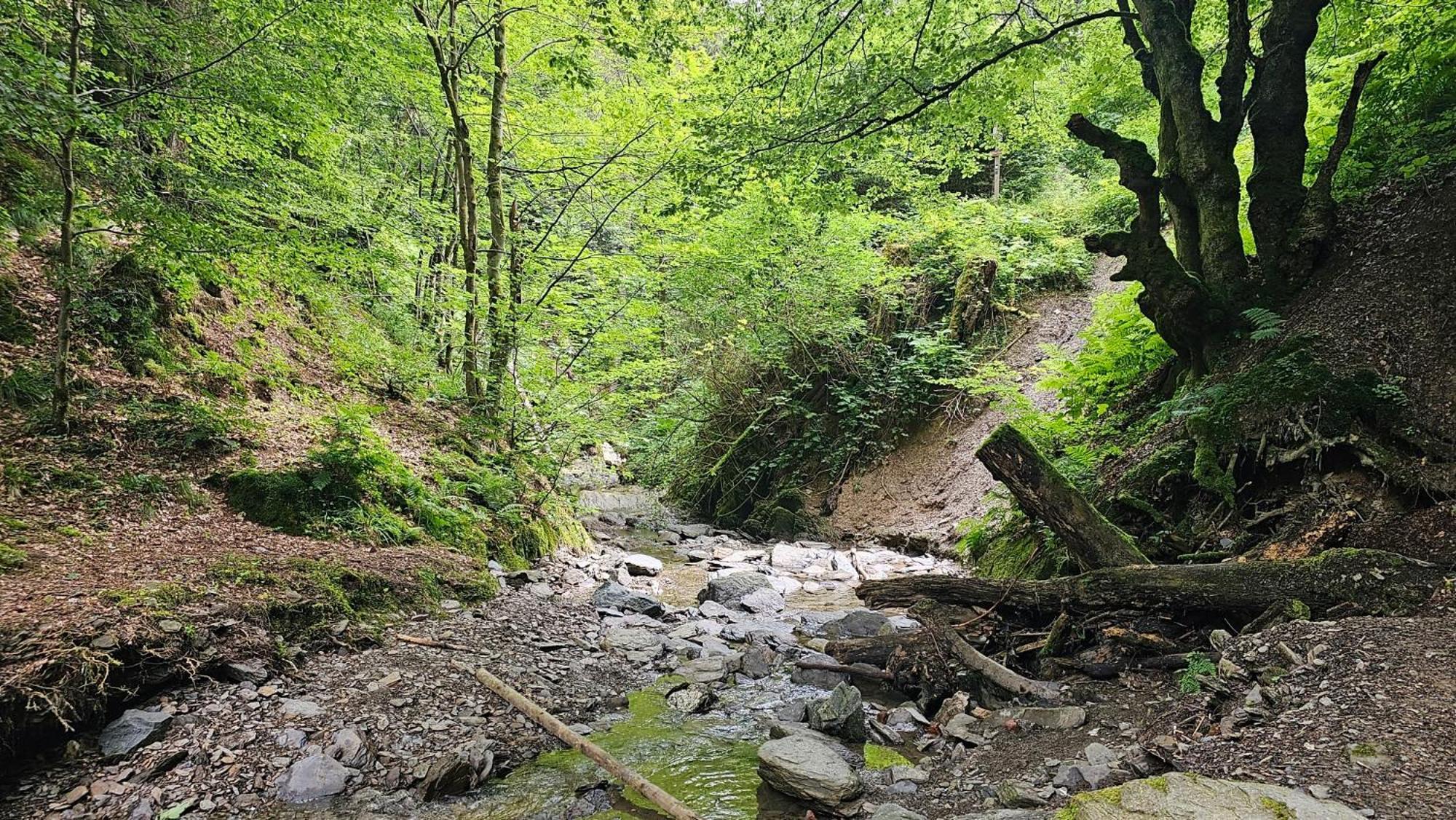 Vakantiehuisje Winterberg Zewnętrze zdjęcie