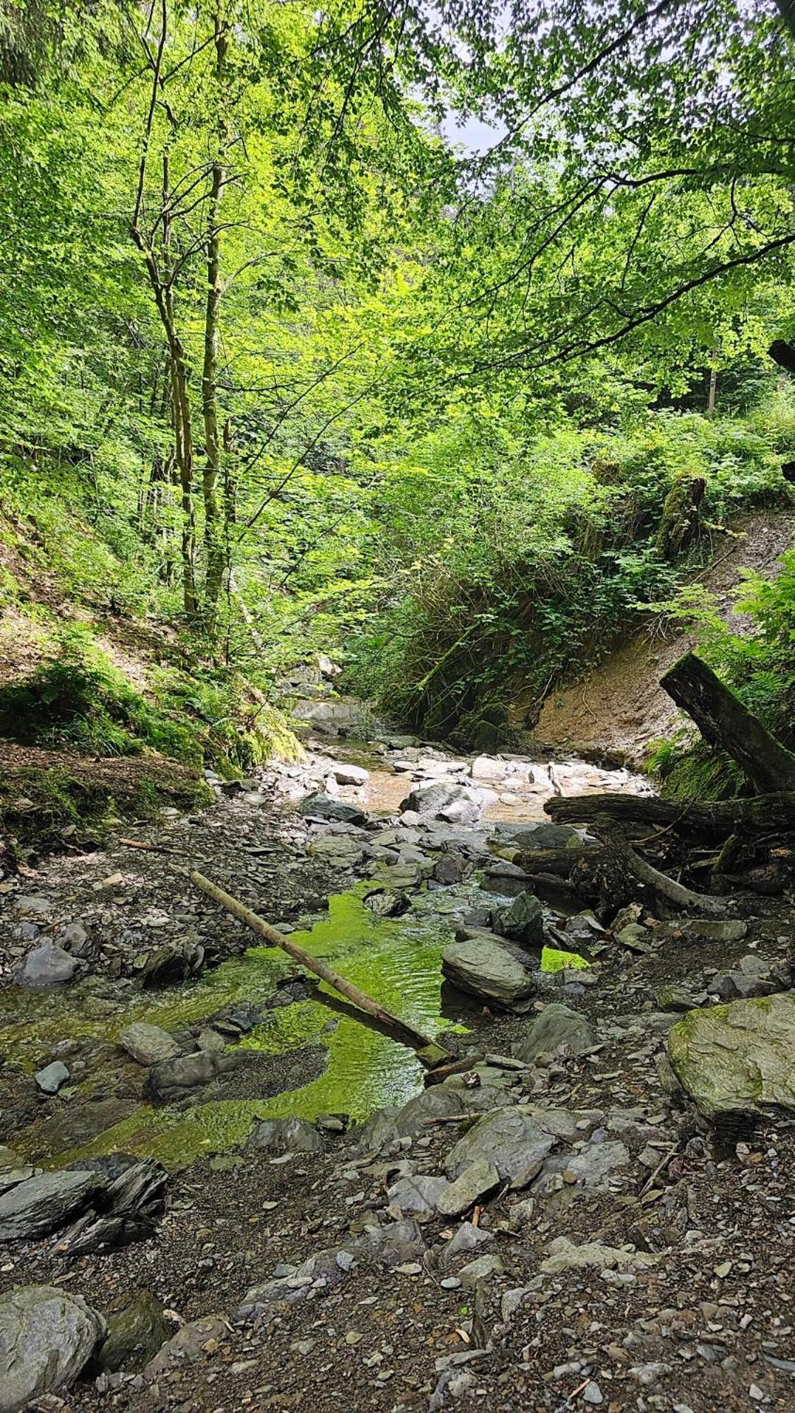 Vakantiehuisje Winterberg Zewnętrze zdjęcie
