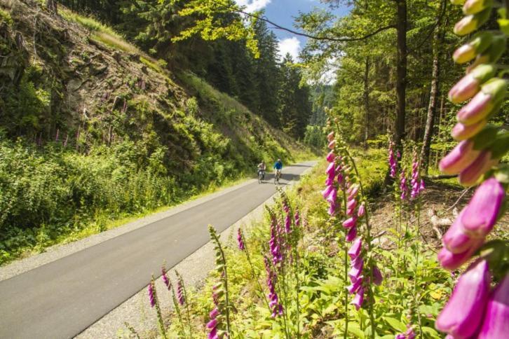 Vakantiehuisje Winterberg Zewnętrze zdjęcie